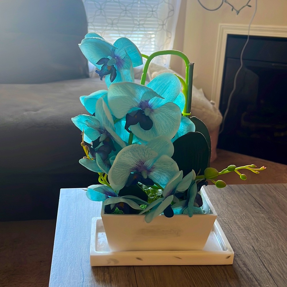 Fake blue orchid plant
